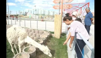 Harikalar Diyarı Hayvanat Bahçesi de Kapılarını Açtı