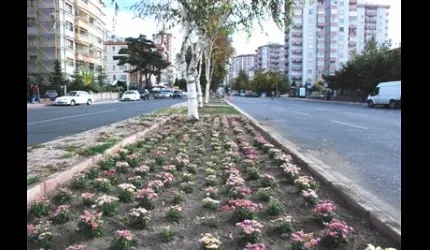 Melikgazi Belediyesi 25 Bin Meyve Fidanı Dağıtacak
