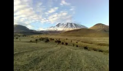 Erciyes Dağında Ağaçlandırma