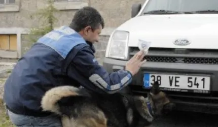 Bagajda saklanan esrar narkotik köpeği Sedef sayesinde bulundu