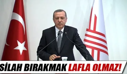 Erdoğan: 'Silah bırakmak lafla olmaz'