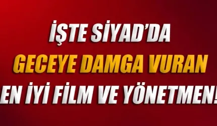 İşte en iyi film ve yönetmen! Geceye damga vurdu