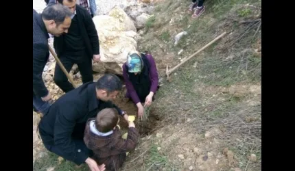 Çelikhan'da Fidan Dikim Şenliği Düzenlendi