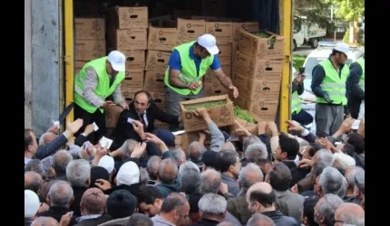 Kayseri'de 500 Bin Domates Fidesi Ve 1 Ton Gübre Dağıtıldı