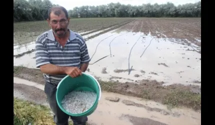 20 Dakika Yağan Dolu 18 Dönüm Arazide Ürün Bırakmadı