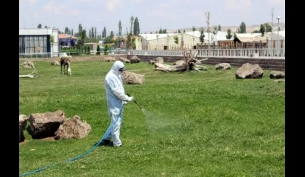 Kayseri Keneye Karşı Alarma Geçti