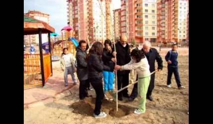 Kocasinan Belediyesi, 11 bin ağaç dikti