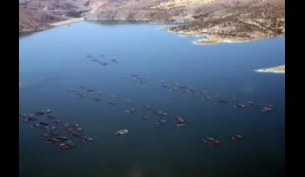Kayseri, alabalık üretiminde ilk üç il arasında