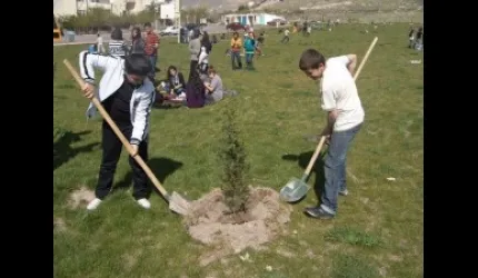Kocasinan'da ağaç seferberliği başladı