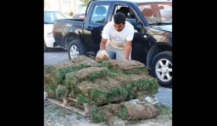 Melikgazi Belediyesi hazır çim kullanarak tasarruf etti